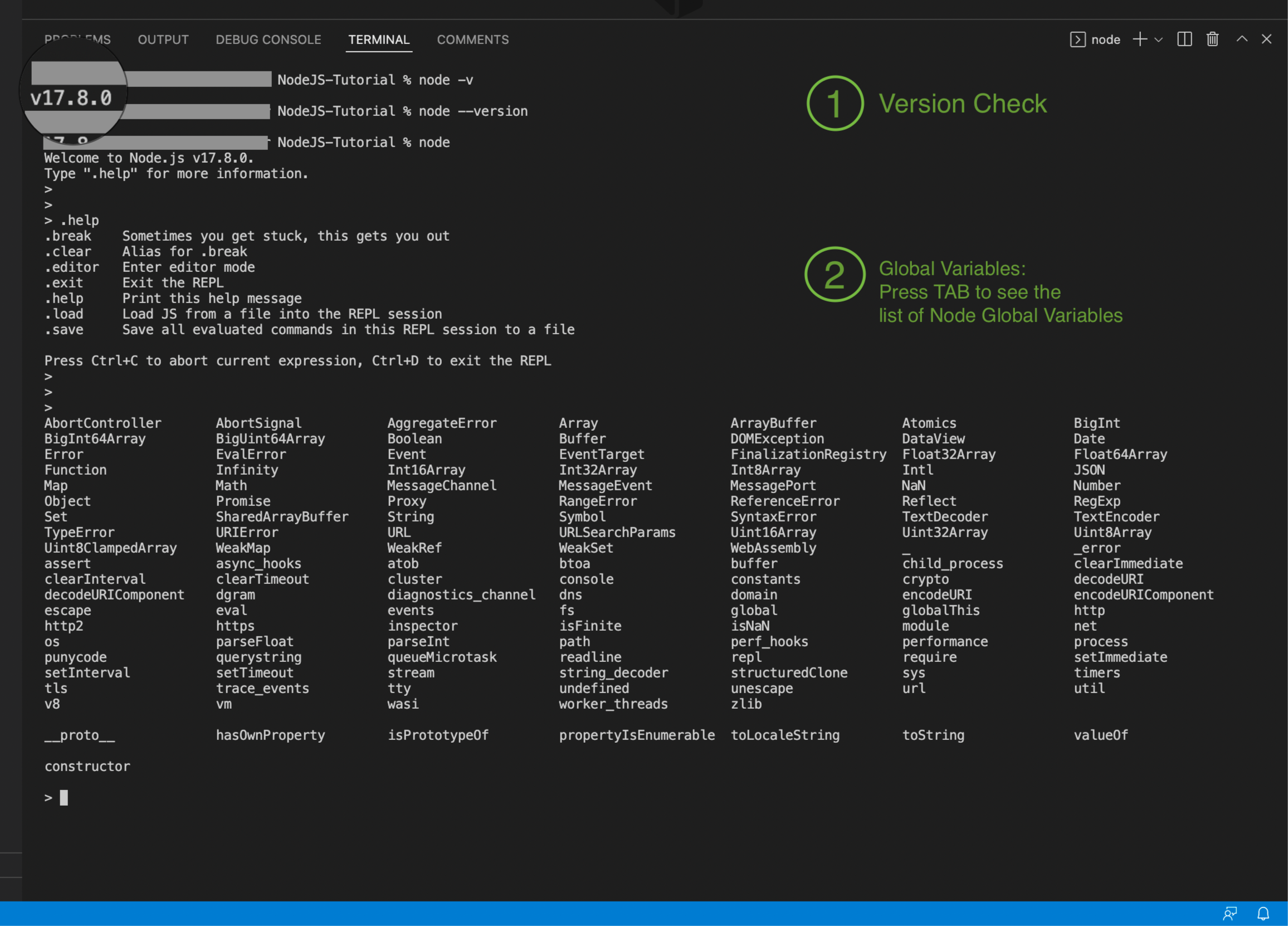 NodeJS Version Selection